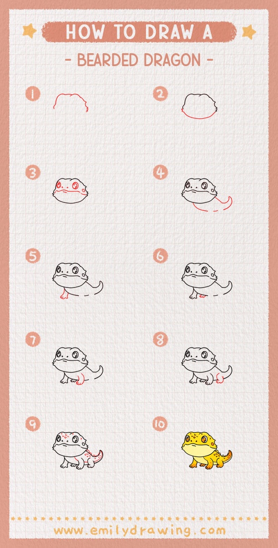 how to draw a bearded dragon pinterest pin